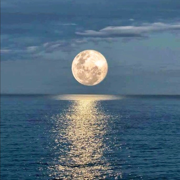 ♥️ - Picture 2 of 7